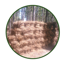 3. Longleaf Pine Straw Bales